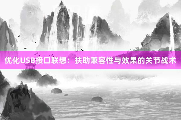 优化USB接口联想：扶助兼容性与效果的关节战术